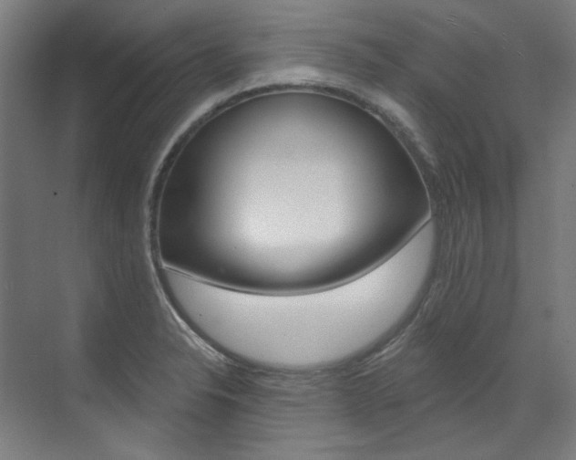 X0000073491326200607310907
