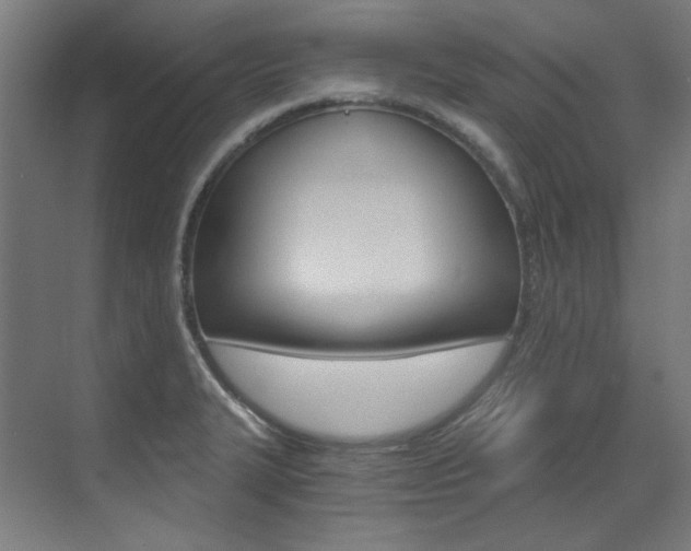 X0000073491327200607310907