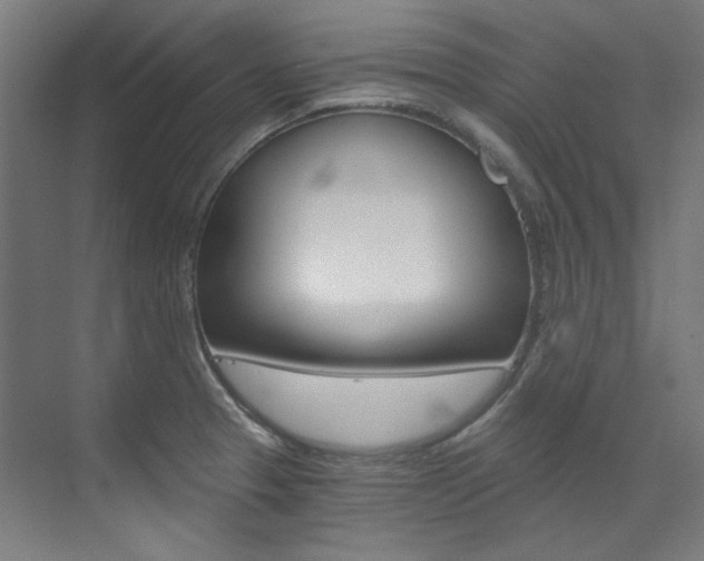 X0000073491329200607310907