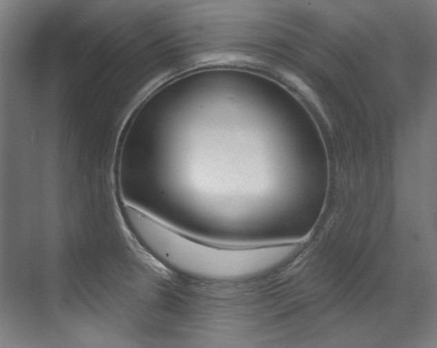 X0000073491330200607310907