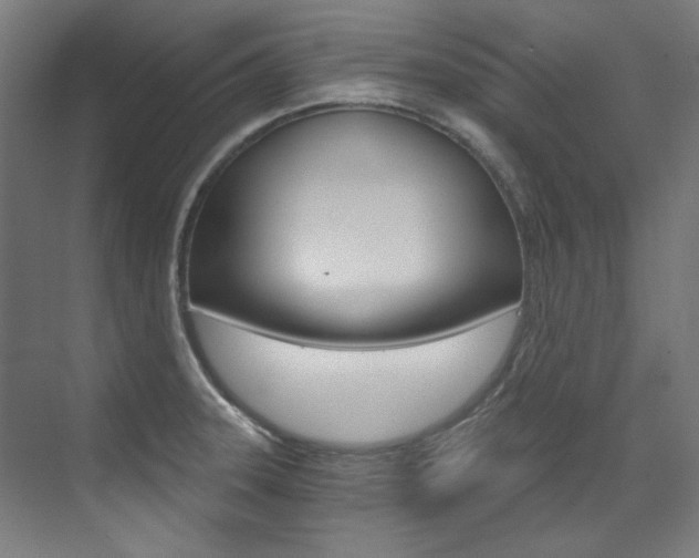 X0000073491331200607310907