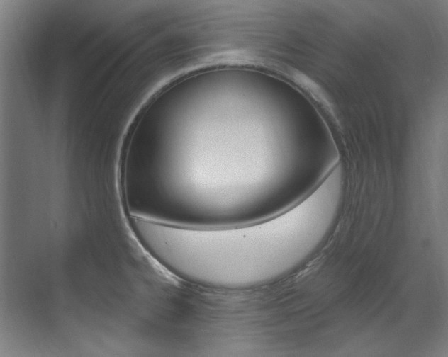 X0000073491334200607310907
