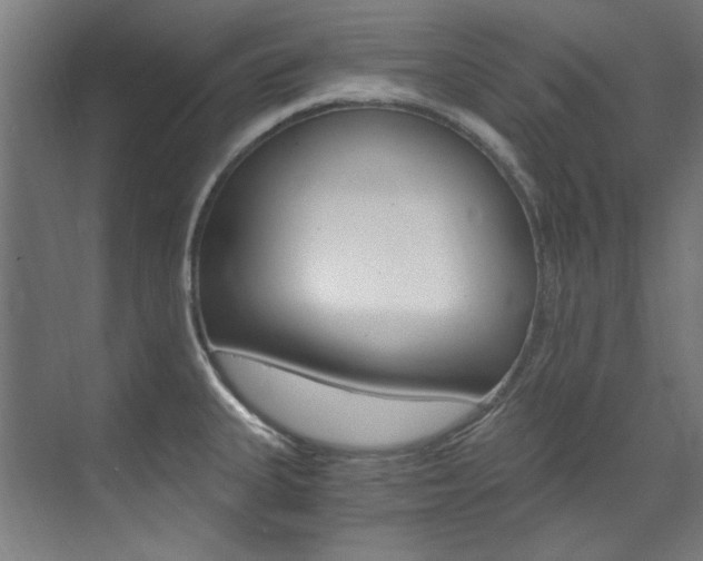 X0000073491335200607310907