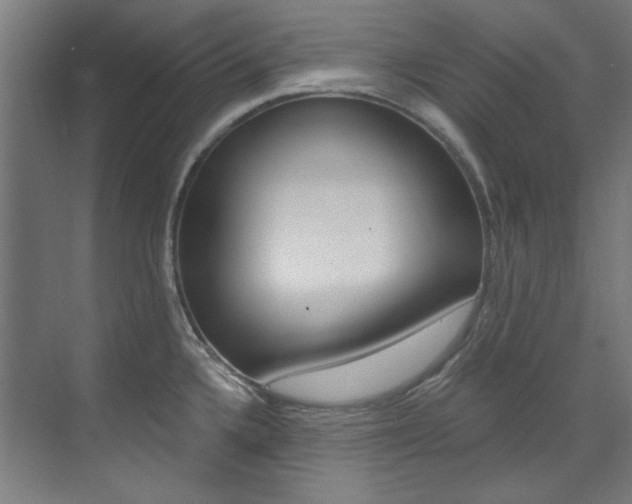 X0000073491336200607310907