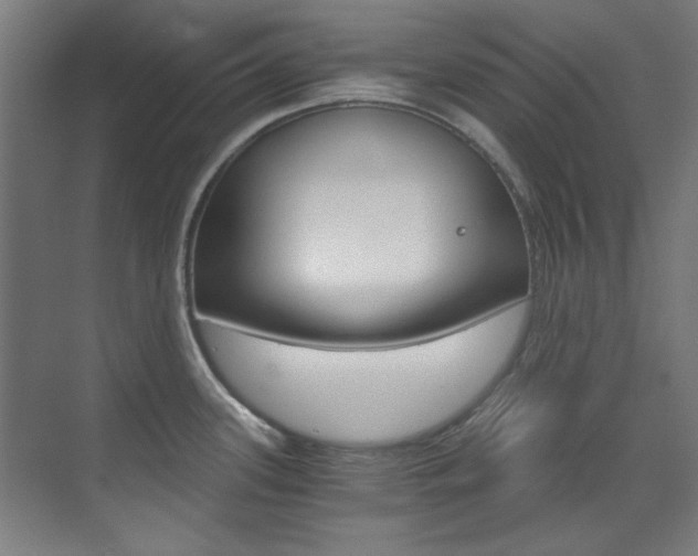 X0000073491339200607310907