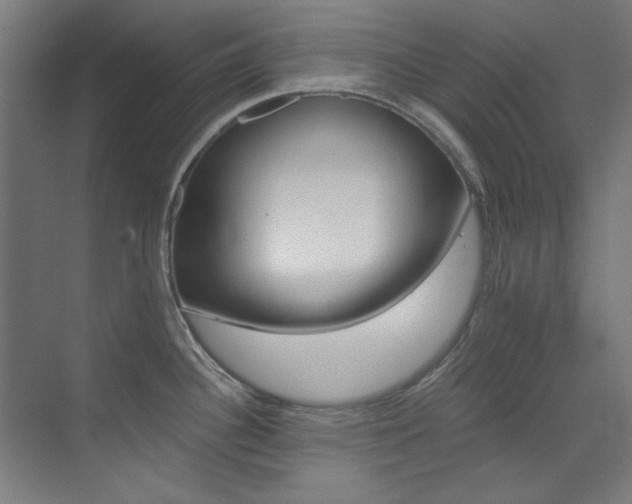 X0000073491340200607310907