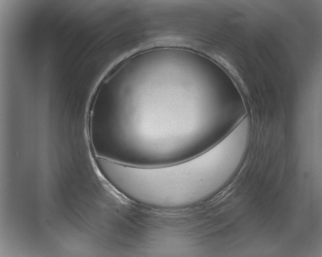 X0000073491342200607310907
