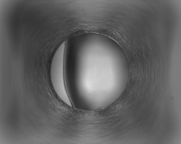 X0000073491345200607310906