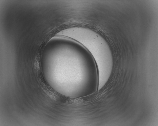 X0000073491348200607310906