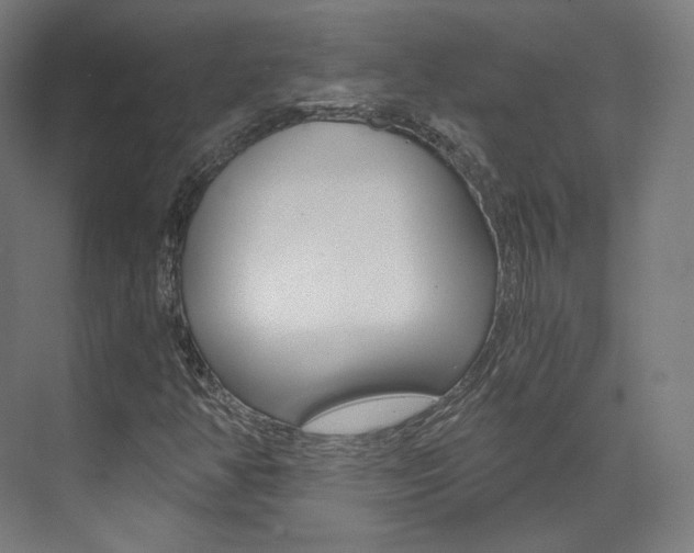 X0000073491350200607310906