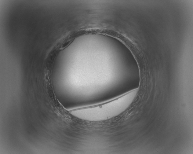 X0000073491351200607310906