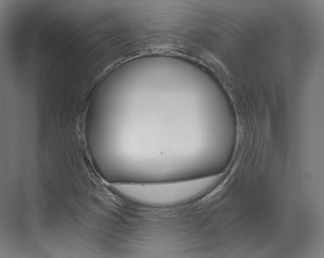 X0000073491353200607310906