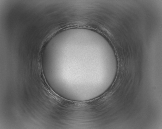 X0000073491354200607310906