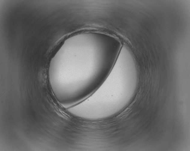 X0000073491355200607310906