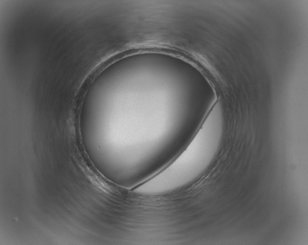 X0000073491356200607310906