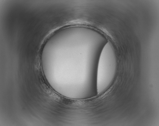 X0000073491358200607310906