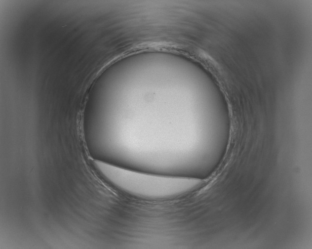 X0000073491361200607310906