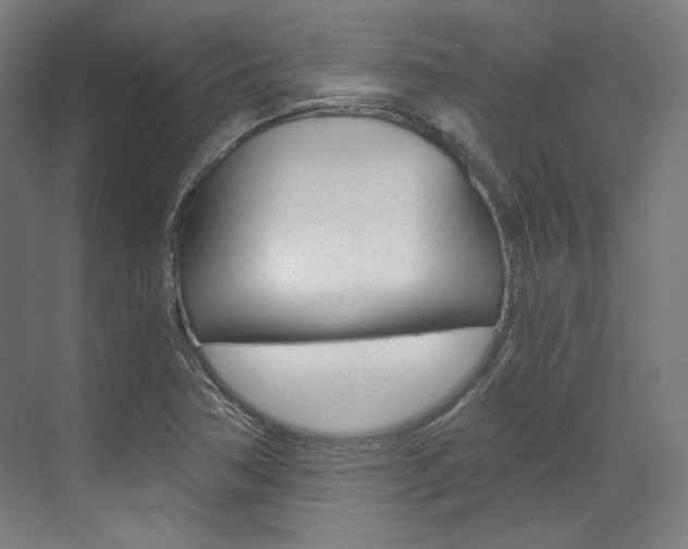 X0000073491362200607310906