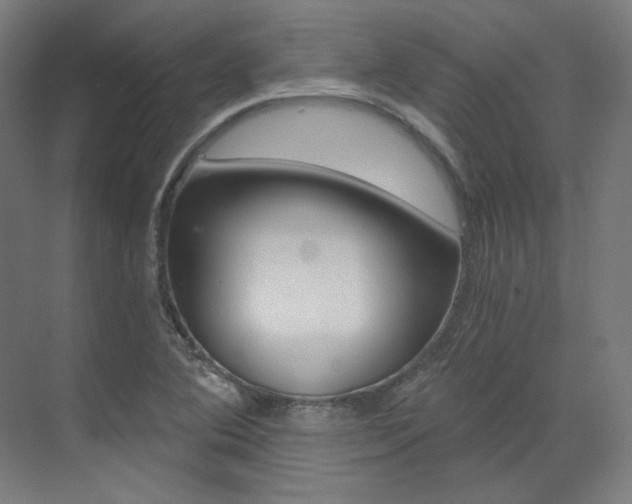 X0000073491364200607310906