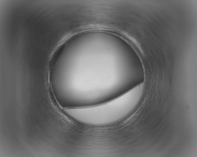 X0000073491365200607310906