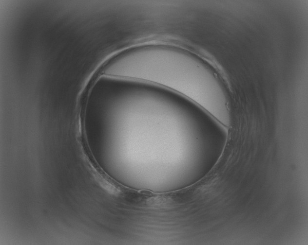 X0000073491368200607310906