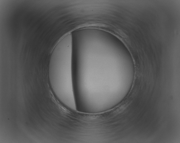 X0000073491369200607310906