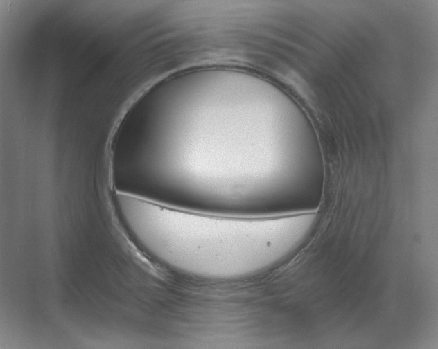 X0000073491371200607310906