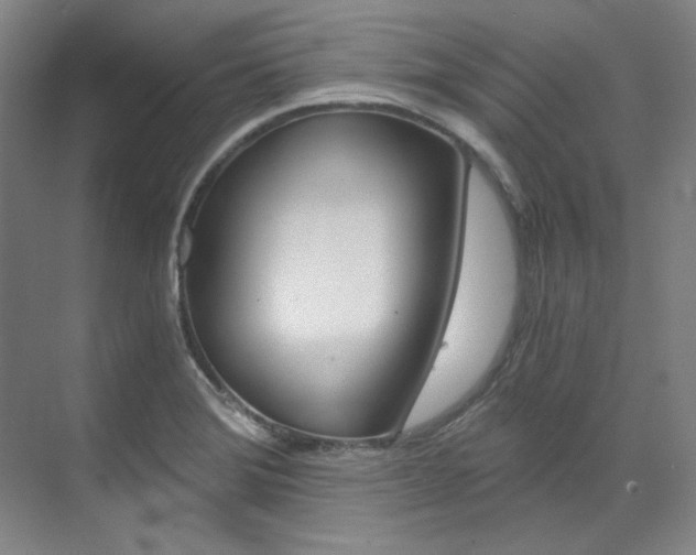 X0000073491372200607310906