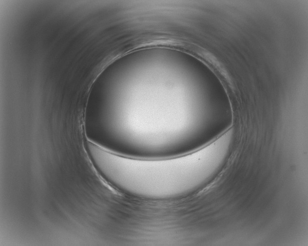 X0000073491377200607310906