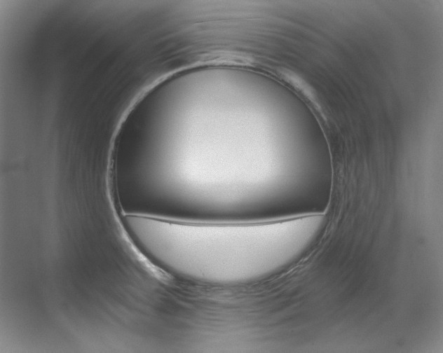 X0000073491379200607310906