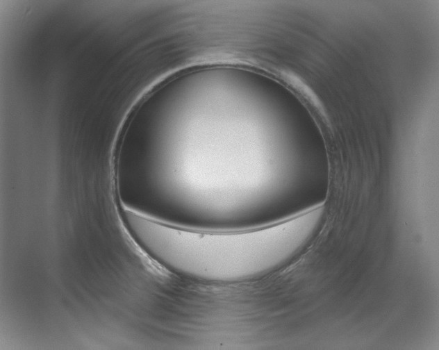 X0000073491380200607310906