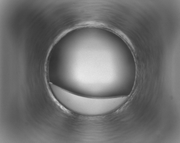 X0000073491381200607310906