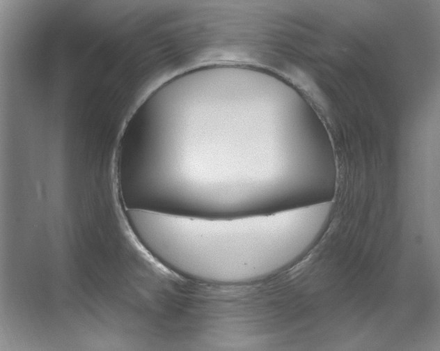 X0000073491382200607310905