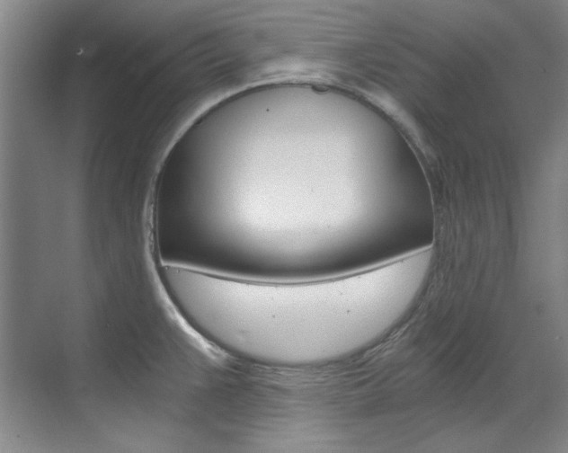 X0000073491383200607310905