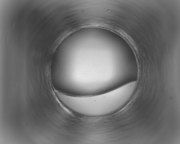 X0000073491385200607310905