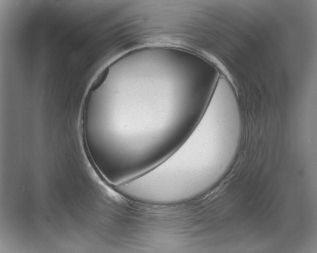 X0000073491387200607310905