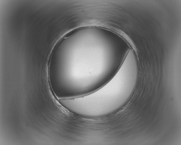 X0000073491388200607310905