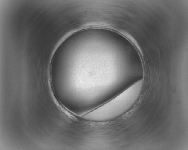 X0000073491389200607310905