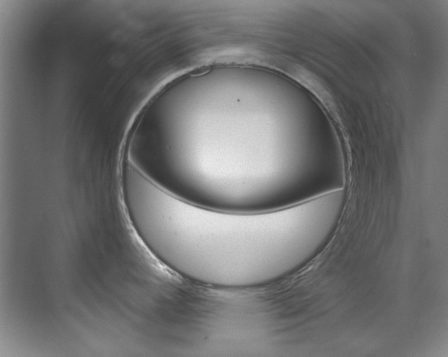 X0000073491392200607310905