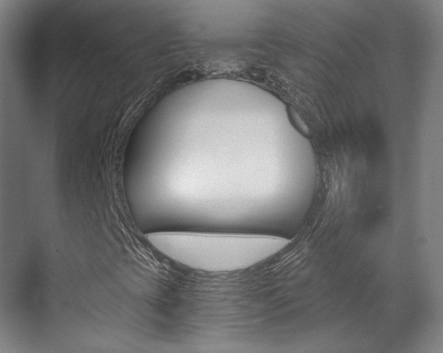 X0000073491393200607310905
