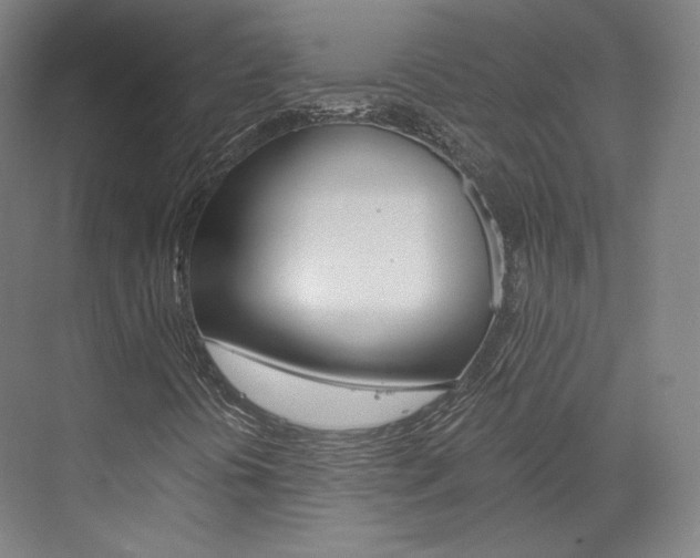 X0000073491394200607310905