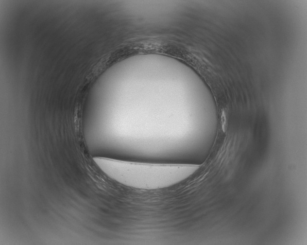 X0000073491395200607310905