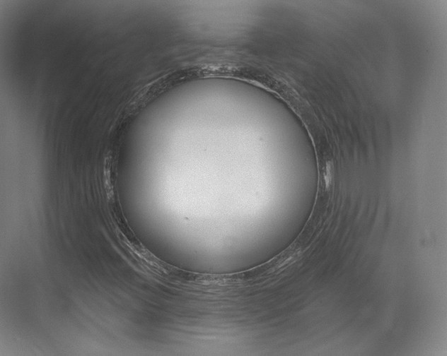 X0000073491396200607310905