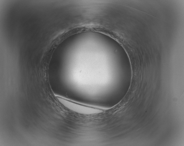X0000073491398200607310905