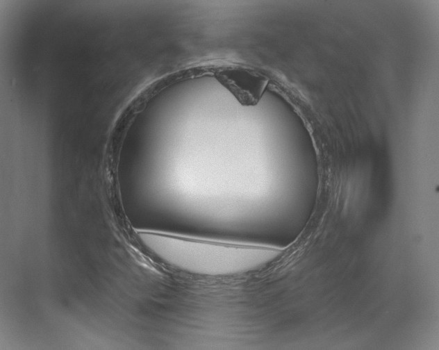 X0000073491400200607310905