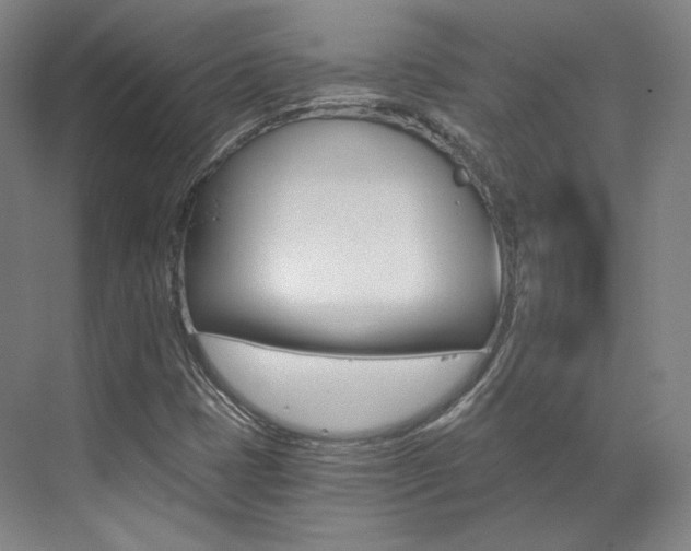 X0000073491401200607310905