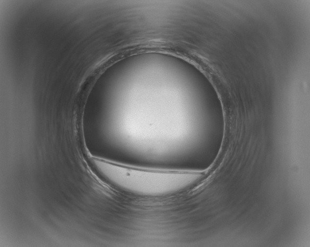 X0000073491402200607310905