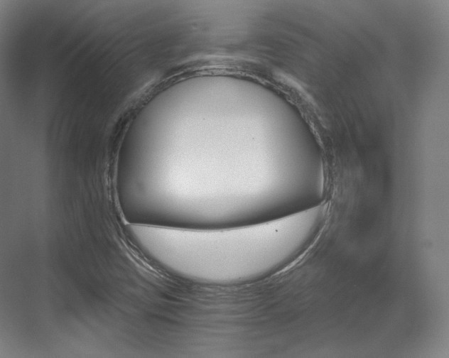 X0000073491403200607310905
