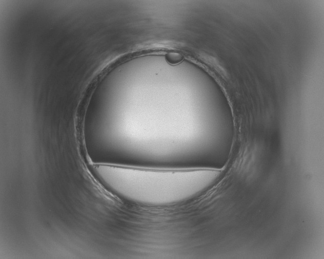 X0000073491404200607310905