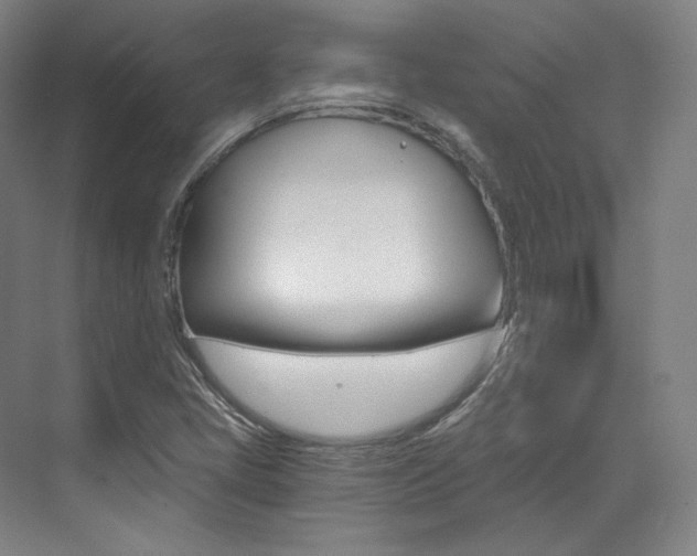 X0000073491405200607310905